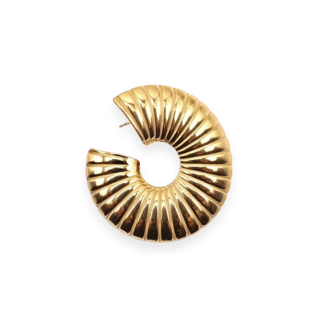 Shell earrings