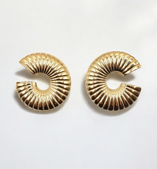 Shell earrings