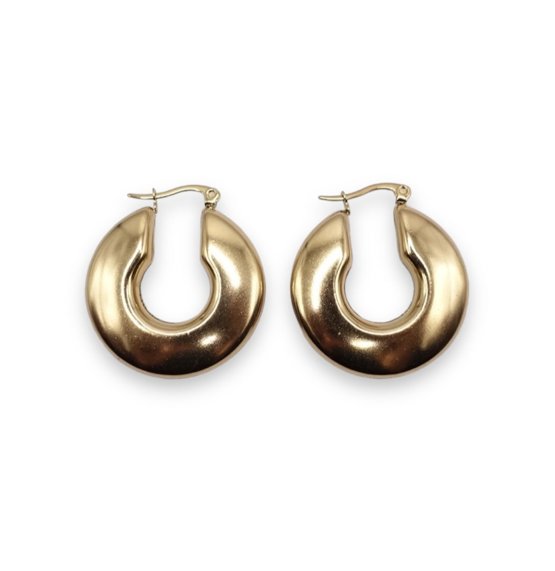 Plate Hoop Earrings